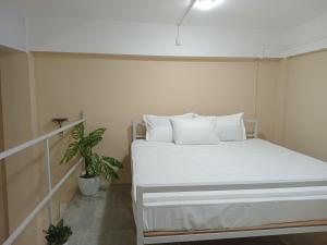 Gallery image of Tranquil Nest HOMESTAY in Sibsāgar