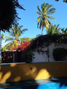 a wall with palm trees in the background at Jardim dos Aloés, Unique B&B - Casa de Charme in Ilha de Moçambique