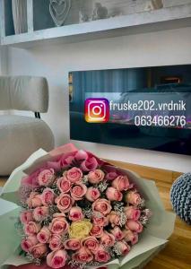 TV a/nebo společenská místnost v ubytování Fruške 202 studio apartman