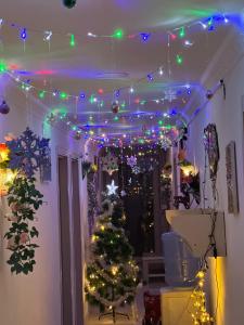 una sala de Navidad con un árbol de Navidad y luces en LINIKANI, en Tiflis