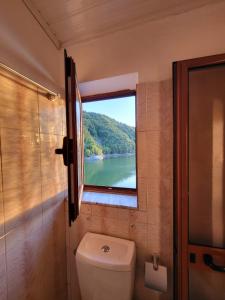 a bathroom with a toilet and a window with a view at Hotel Liqeni in Elbasan