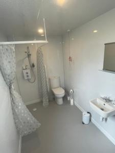 a bathroom with a toilet and a sink at 1 Lighthouse View in Lossiemouth