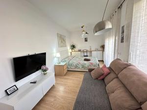 TV/trung tâm giải trí tại Alojamiento Borrell