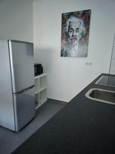 Kuchyň nebo kuchyňský kout v ubytování Pfälzer Wald Apartment