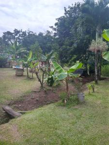 Vườn quanh Anita's Apartment +8 ảnh