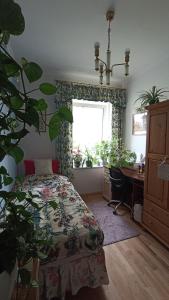 Et opholdsområde på Dom Pod Złotym Bażantem