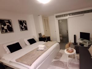 TV a/nebo společenská místnost v ubytování Carnet2voyages Suresnes - Proche Paris, La Défense