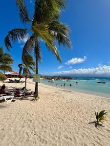 een palmboom op een strand met mensen in het water bij La bulle D'Isma - Jacuzzi intimiste, proche plage in Le Gosier