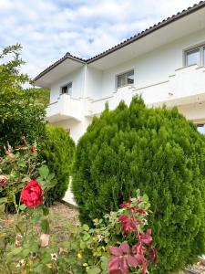 Aed väljaspool majutusasutust Guest House Nuhellari +21 fotot