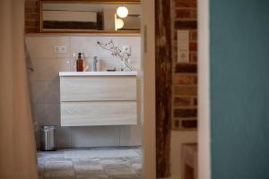 ein Badezimmer mit Waschbecken und Spiegel in der Unterkunft Appartement mit Connection am Müritz- Nationalpark 