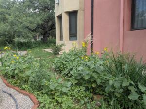 een tuin met bloemen en planten naast een gebouw bij Posada Abrazo Serrano en Carpintería in Carpintería