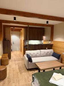 Posezení v ubytování Atrium, new Gudauri + 28 fotografií