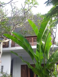 Gallery image of Sun House in Ubud