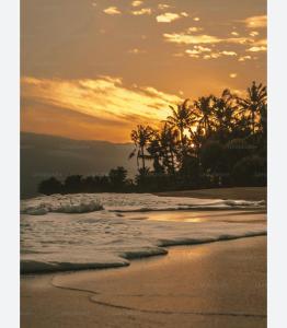 Naturlandskabet i nærheden af hotellet