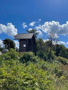 une petite cabane au milieu d'un champ dans l'établissement Koliba Relax Point, à Potoci