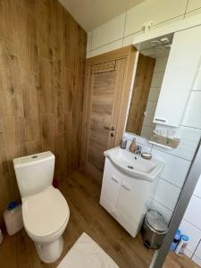 une salle de bains avec toilettes et lavabo dans l'établissement Koliba Relax Point, à Potoci