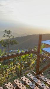 Naturlandskabet i nærheden af campingpladsen