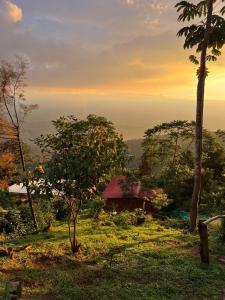 Naturlandskabet i nærheden af campingpladsen