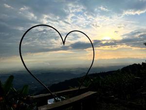 Naturlandskabet i nærheden af campingpladsen