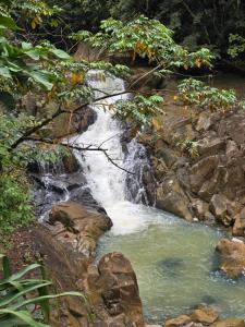 Naturlandskabet i nærheden af lejligheden + 13 billeder