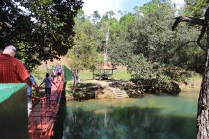 Naturlandskabet i nærheden af lejligheden