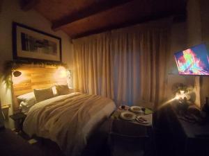 a hotel room with a bed and a television at Country Studio Apartment in Elice