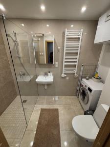 bagno con doccia, servizi igienici e lavatrice. di Daugavas Rezidence a Riga