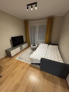 una camera da letto con un letto e una TV a schermo piatto di Daugavas Rezidence a Riga