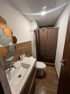 a bathroom with a sink and a toilet and a shower at Penthouse en Centro de Monterrey in Monterrey +15 photos