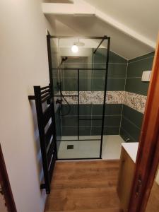 ein Bad mit einer Glasdusche im Zimmer in der Unterkunft Le chalet de l'amitié in Luché-Pringé