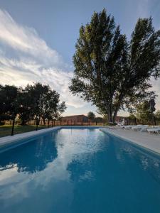una piscina blu con sedie e alberi sullo sfondo di Aldea de Cabañeros a El Robledo