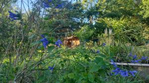 een tuin met blauwe bloemen voor een huis bij La Paz suites de campo in Capilla del Señor