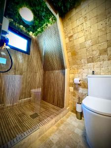 een badkamer met douche en toilet bij M Cabin A Frame Predeal 2 Ciubar in Predeal