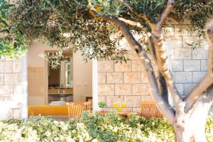 un albero di fronte a un muro di pietra di Guest House Kovacevic a Hvar