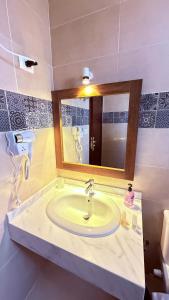 a bathroom with a sink and a mirror at Magic Garden House in Luxor