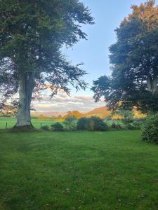 Příroda nedaleko prázdninového domu + 12 fotografií