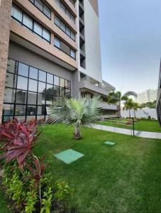 un palmier devant un bâtiment dans l'établissement Max Derby 701, à Récife