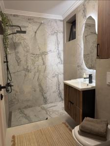 un bagno con doccia e lavandino di Cozy Central View a Reşiţa