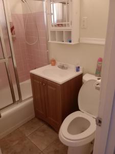 een badkamer met een toilet, een wastafel en een douche bij 1 BEDROOM KITCHEn BATHROOM ApT in Titusville +9 foto's