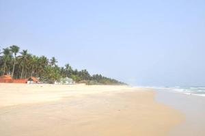 Příroda nedaleko bed and breakfast