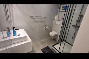 a bathroom with a shower and a toilet and a sink at Finkenwerder Ferienwohnung Larisa's Nr 23 in Hamburg