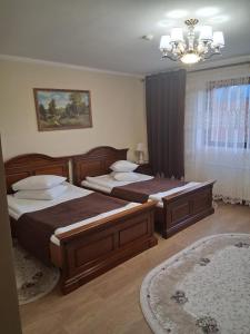 een slaapkamer met 2 bedden en een kroonluchter bij Pensiunea Casa Barsan in Bîrsana