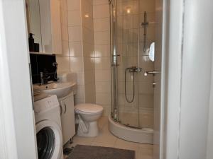 een badkamer met een douche, een toilet en een wastafel bij Odmori se, Centar apartman in Donje Mladice