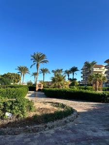 een geplaveid pad met palmbomen en een gebouw bij Luxury Studio in Hurghada
