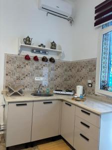 een keuken met een spoelbak en een aanrechtblad bij Marsa Cocon Cozy in La Marsa Beach in La Marsa