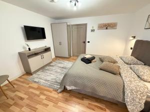 una camera da letto con un letto e una televisione di Camera Family Suceava a Ipoteşti