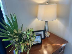 een tafel met een lamp en een plant erop bij Club Villa #3060 in Franklintown