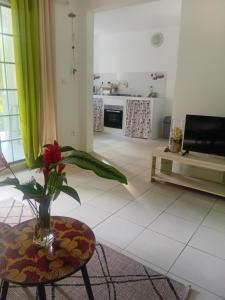 Μια τηλεόραση ή/και κέντρο ψυχαγωγίας στο Vos vacances à 800m de la plage de l anse figuier