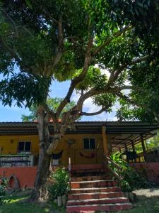 een huis met een boom en een trap ervoor bij La casa de Sonia in El Perico