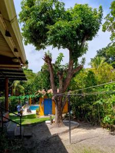 een boom voor een huis met een zwembad bij La casa de Sonia in El Perico